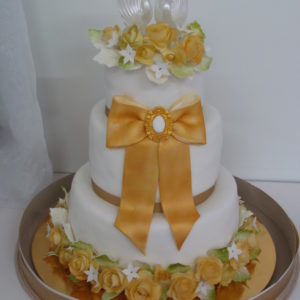 IMG_7486 IMG_7486